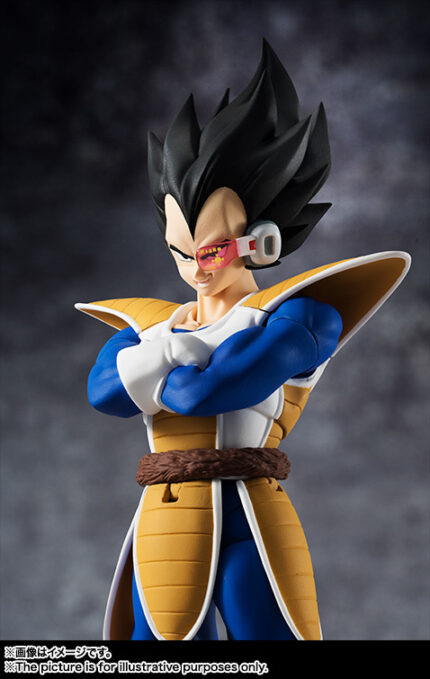 DBZ-Vegeta-Figure-S.H.Figuarts-Buy.jpeg