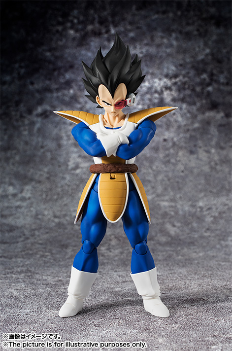 DBZ-Vegeta-Figure-SHF-for-Sale.jpeg