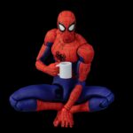 Into-the-Spider-Verse-Sentinel-SV-Action-Peter-B-Parker-DX-Version-Reissue-Figure-Buy.jpg