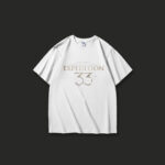 Clair Obscur: Expedition 33 | High-quality short-sleeved | Heavyweight fabric T-shirt | Merch clothing half-sleeved tee - Image 2