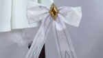 [In Stock] Honkai Star Rail Firefly Cosplay Costume - Image 10